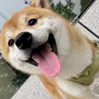 小小